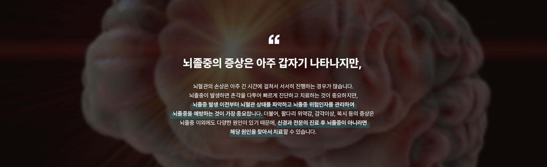 뇌졸중 상세02