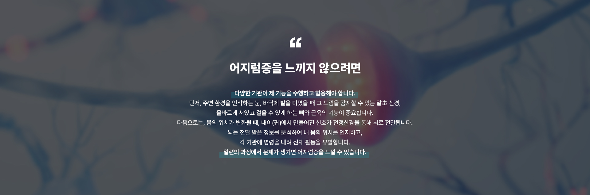 어지럼증 상세02
